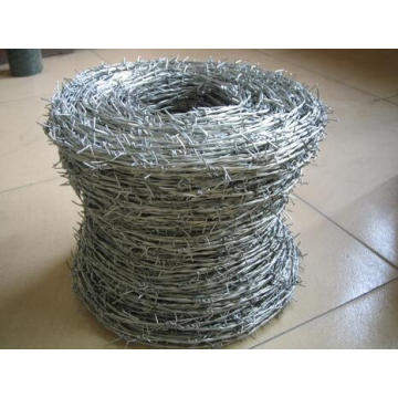 China Supplier Galvanized Coated Razor Wire